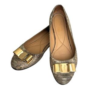 Salvatore Ferragamo Varina Python Flats Gray